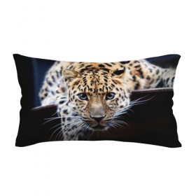 Подушка 3D антистресс Леопард: в Ухте, наволочка — 100% полиэстер, наполнитель — вспененный полистирол | состоит из подушки и наволочки на молнии | взгляд | глаза | дикая кошка | леопард | хищник