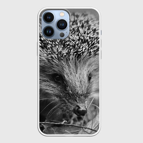Чехол для iPhone 13 Pro Max с принтом Ежик в Ухте,  |  | ежик | животные | колючки | природа
