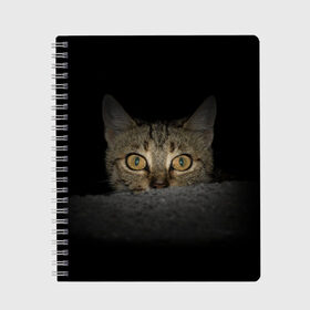 Тетрадь с принтом Котик в Ухте, 100% бумага | 48 листов, плотность листов — 60 г/м2, плотность картонной обложки — 250 г/м2. Листы скреплены сбоку удобной пружинной спиралью. Уголки страниц и обложки скругленные. Цвет линий — светло-серый
 | животные | кот | котенок | котик | кошка