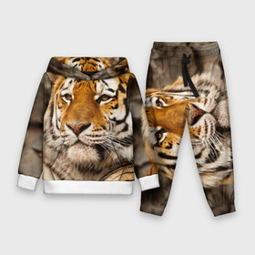 Детский костюм 3D (с толстовкой) с принтом Тигр в Ухте,  |  | Тематика изображения на принте: амурский | животные | киса | кот | котенок | кошка | пума | рысь | серый | тигр | хищник