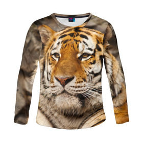 Женский лонгслив 3D с принтом Тигр в Ухте, 100% полиэстер | длинные рукава, круглый вырез горловины, полуприлегающий силуэт | амурский | животные | киса | кот | котенок | кошка | пума | рысь | серый | тигр | хищник