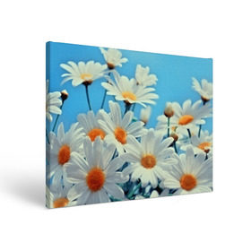 Холст прямоугольный с принтом Ромашки в Ухте, 100% ПВХ |  | flower | цветы