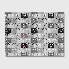 Альбом для рисования с принтом Котейки в Ухте, 100% бумага
 | матовая бумага, плотность 200 мг. | котейки | коты | кошки