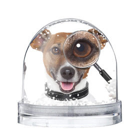 Снежный шар Джек рассел с лупой: в Ухте, Пластик | Изображение внутри шара печатается на глянцевой фотобумаге с двух сторон | волкодав | дворняжка | джек | джек рассел | домашние животные | любимец | мопс | овчарка | пес | песик | питомец | рассел | сенбернар | собака | собачка