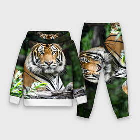Детский костюм 3D (с толстовкой) с принтом Тигр в джунглях в Ухте,  |  | Тематика изображения на принте: амурский | животные | зверь | киса | кот | котенок | кошка | тигр | хищник