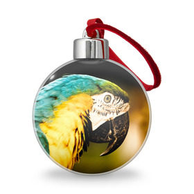 Ёлочный шар с принтом Попугай в Ухте, Пластик | Диаметр: 77 мм | двое | классный | клюв | красивый | крылья | попугай | попугайчик | птица | птичка | радужный