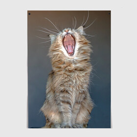 Постер с принтом Мартовский кот в Ухте, 100% бумага
 | бумага, плотность 150 мг. Матовая, но за счет высокого коэффициента гладкости имеет небольшой блеск и дает на свету блики, но в отличии от глянцевой бумаги не покрыта лаком | кот | кошка | март | пасть | усы