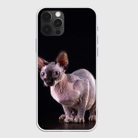 Чехол для iPhone 12 Pro Max с принтом сфинкс в Ухте, Силикон |  | взгляд | голубые глаза | киска | кот | котенок | котик | котэ | серый | сфинкс | черный
