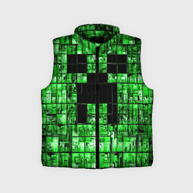 Детский жилет утепленный 3D с принтом Minecraft в Ухте,  |  | game | green | minecraft | игра | игрок | компьютерные игры | майнкрафт