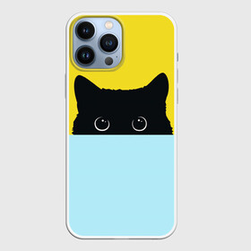 Чехол для iPhone 13 Pro Max Кот спрятался: в Ухте,  |  | 3d | cat | kitty | животные | иллюстрация | киса | кот | кот спрятался | котенок | котэ | кошка | минимализм | рисунок | цифровое искусство