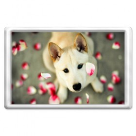 Магнит 45*70 с принтом Роантика в Ухте, Пластик | Размер: 78*52 мм; Размер печати: 70*45 | 