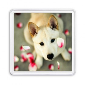 Магнит 55*55 с принтом Роантика в Ухте, Пластик | Размер: 65*65 мм; Размер печати: 55*55 мм | 