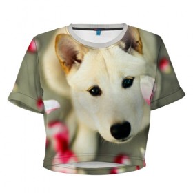 Женская футболка 3D укороченная с принтом Роантика в Ухте, 100% полиэстер | круглая горловина, длина футболки до линии талии, рукава с отворотами | 