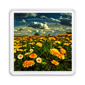 Магнит 55*55 Одуванчики: в Ухте, Пластик | Размер: 65*65 мм; Размер печати: 55*55 мм | пейзаж | поле | цветы