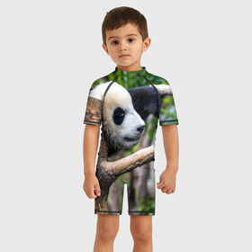 Детский купальный костюм 3D Бамбуковый медведь: в Ухте, Полиэстер 85%, Спандекс 15% | застежка на молнии на спине | бамбук | животное | медведь