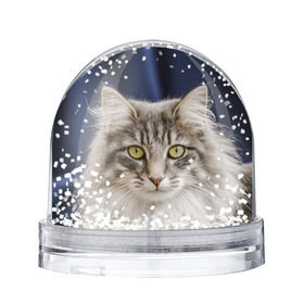Снежный шар с принтом Серый кот в Ухте, Пластик | Изображение внутри шара печатается на глянцевой фотобумаге с двух сторон | грустный | добрый | животное | киса | киска кися | кот | котенок | котэ | кошка | красивый | лапа | лапка | ласковый | милый | моська | мурлыка | прикольный | смешной | унылый | усатый | шерсть