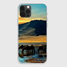 Чехол для iPhone 12 Pro с принтом Лошади в Ухте, силикон | область печати: задняя сторона чехла, без боковых панелей | 3d | берег | вода | горы | животное | закат | лошади | небо | прикольные | природа | река | солнце | яркие