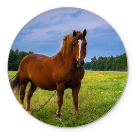 Коврик круглый Конь: в Ухте, резина и полиэстер | круглая форма, изображение наносится на всю лицевую часть | вожжи | голоп | грация | езда | есаул | жеребец | животное | кобыла | кобылица | конь | копыта | копыто | лошадь | пегас | пони | рысак | сбруя | скакун | скачет | скачка | стойло | троя