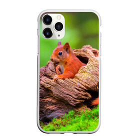 Чехол для iPhone 11 Pro матовый Белка: в Ухте, Силикон |  | белка | животные | лес | милая | природа | яркая