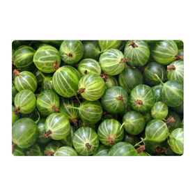 Магнитный плакат 3Х2 с принтом Крыжовник в Ухте, Полимерный материал с магнитным слоем | 6 деталей размером 9*9 см | Тематика изображения на принте: еда | зеленый | крыжовник | растения | текстура | фрукты | ягоды