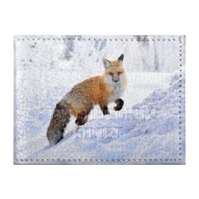 Обложка для студенческого билета с принтом Гора в Ухте, натуральная кожа | Размер: 11*8 см; Печать на всей внешней стороне | fox | red | лиса | лисенок | рыжая