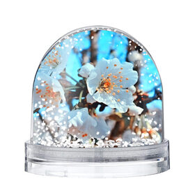 Снежный шар с принтом Весна в Ухте, Пластик | Изображение внутри шара печатается на глянцевой фотобумаге с двух сторон | 3d | flower | весна | другие | красивые цветы | красные | лето | поле | полевой цветок | прикольные | природа | текстуры | цветочки | цветы