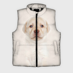 Мужской жилет утепленный 3D с принтом Лабрадор в Ухте,  |  | dog | labrador | puppy | порода | собака | собачка | щенок
