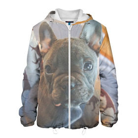 Мужская куртка 3D с принтом Мопс в Ухте, ткань верха — 100% полиэстер, подклад — флис | прямой крой, подол и капюшон оформлены резинкой с фиксаторами, два кармана без застежек по бокам, один большой потайной карман на груди. Карман на груди застегивается на липучку | пес