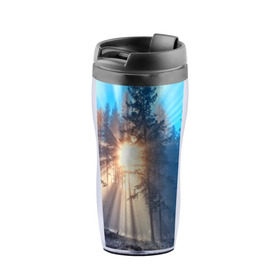 Термокружка-непроливайка с принтом Woodland в Ухте, внутренняя часть — пищевой пластик, наружная часть — прозрачный пластик, между ними — полиграфическая вставка с рисунком | объем — 350 мл, герметичная крышка | Тематика изображения на принте: деревья | лес | пейзаж