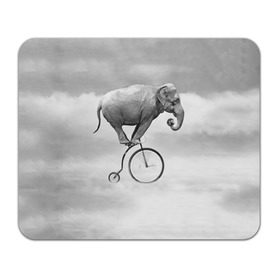 Коврик прямоугольный с принтом Hipster Bike в Ухте, натуральный каучук | размер 230 х 185 мм; запечатка лицевой стороны | elephant | hipster | индия | йога | слон | хипстер