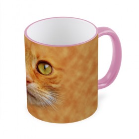 Кружка 3D Котик: в Ухте, керамика | ёмкость 330 мл | животные | кот | котенок | котик | кошка