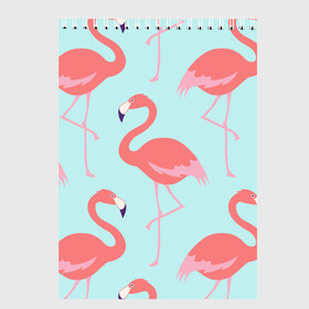 Скетчбук с принтом Flamingos pattern в Ухте, 100% бумага
 | 48 листов, плотность листов — 100 г/м2, плотность картонной обложки — 250 г/м2. Листы скреплены сверху удобной пружинной спиралью | animals | beautiful | bird | birds | birdy | blue | color | flamingo | nature | wild | белое | голубое | животные | красивое | красота | милое | природа | птица | птицы | птичка | птички | синее | фламинго | цвет | яркое