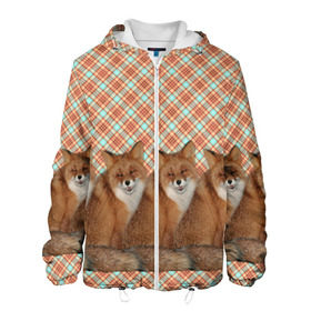 Мужская куртка 3D с принтом Банда лис в Ухте, ткань верха — 100% полиэстер, подклад — флис | прямой крой, подол и капюшон оформлены резинкой с фиксаторами, два кармана без застежек по бокам, один большой потайной карман на груди. Карман на груди застегивается на липучку | клетка | лиса