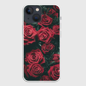 Чехол для iPhone 13 mini с принтом Бархатные розы в Ухте,  |  | бархат | бутоны | роза | розы | цветы