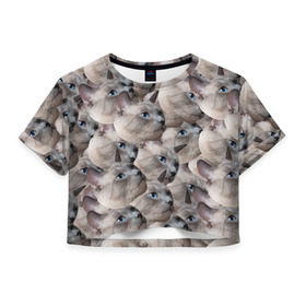 Женская футболка 3D укороченная Котики: в Ухте, 100% полиэстер | круглая горловина, длина футболки до линии талии, рукава с отворотами | бомбинг | мордочка | паттерн