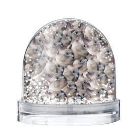 Водяной шар Котики: в Ухте, Пластик | Изображение внутри шара печатается на глянцевой фотобумаге с двух сторон | бомбинг | мордочка | паттерн