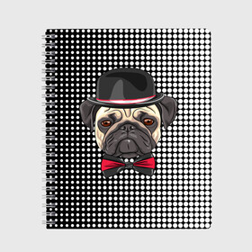 Тетрадь с принтом Mr Pug в Ухте, 100% бумага | 48 листов, плотность листов — 60 г/м2, плотность картонной обложки — 250 г/м2. Листы скреплены сбоку удобной пружинной спиралью. Уголки страниц и обложки скругленные. Цвет линий — светло-серый
 | animal | dog | pet | pug | puppy | арт | горошек | джентльмен | животные | кружочки | мопс | мопсик | пес | собаки | текстура | французский бульдог