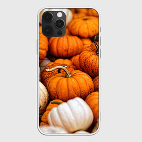 Чехол для iPhone 12 Pro Max с принтом тыквы в Ухте, Силикон |  | Тематика изображения на принте: halloween | дача | овощи | октябрь | оранжевый | осень | сентябрь | тыква | хеллуин