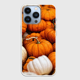 Чехол для iPhone 13 Pro с принтом тыквы в Ухте,  |  | halloween | дача | овощи | октябрь | оранжевый | осень | сентябрь | тыква | хеллуин