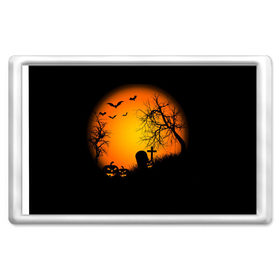 Магнит 45*70 Хэллоуин: в Ухте, Пластик | Размер: 78*52 мм; Размер печати: 70*45 | кладбище | тыквы | хэллоуин