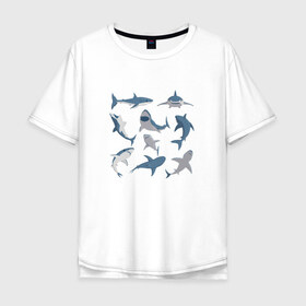 Мужская футболка хлопок Oversize с принтом Акулы в Ухте, 100% хлопок | свободный крой, круглый ворот, “спинка” длиннее передней части | акула | зубы | океан | челюсть
