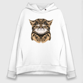 Женское худи Oversize хлопок с принтом Котёнок в Ухте, френч-терри — 70% хлопок, 30% полиэстер. Мягкий теплый начес внутри —100% хлопок | боковые карманы, эластичные манжеты и нижняя кромка, капюшон на магнитной кнопке | cat | животные | киса | кот | котенок | котик | кошка | сон | спит