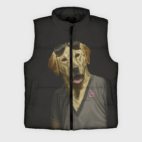 Мужской жилет утепленный 3D с принтом Mr Peanutbutter в Ухте,  |  | bojack horseman | mr peanutbutter | конь боджек | лошадь боджек | мистер подхвост