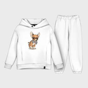 Детский костюм хлопок Oversize Чихуахуа с бабочкой: в Ухте,  |  | домашние животные | пес | песик | собака | собачка | чихуахуа