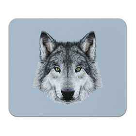 Коврик прямоугольный с принтом Волк в Ухте, натуральный каучук | размер 230 х 185 мм; запечатка лицевой стороны | 