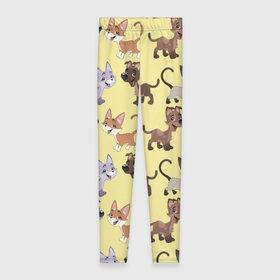 Леггинсы 3D с принтом Верный друг в Ухте, 80% полиэстер, 20% эластан | Эластичный пояс, зауженные к низу, низкая посадка | год собаки | новый год | пес | собака | щенок
