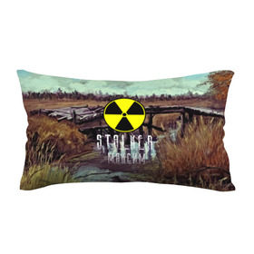 Подушка 3D антистресс с принтом S.T.A.L.K.E.R МАКСИМ в Ухте, наволочка — 100% полиэстер, наполнитель — вспененный полистирол | состоит из подушки и наволочки на молнии | 35mm | s.t.a.l.k.e.r. | snork | stalker | арт | игра | максим | мутант | пейзаж | портрет | снорк | сталкер | трактор