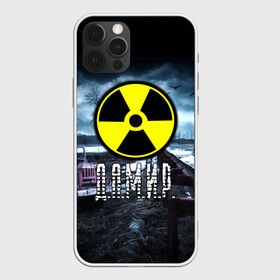 Чехол для iPhone 12 Pro Max с принтом S T A L K E R - Д А М И Р в Ухте, Силикон |  | stalker | буквы | волки | грузовик | дамир | дамирчик | знак | игра | имя | ммо | мрак | надпись | опасность | припять | птицы | радиация | рпг | сталкер | чернобыль | шутер