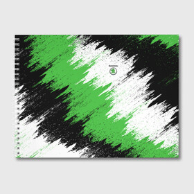 Альбом для рисования Skoda: в Ухте, 100% бумага
 | матовая бумага, плотность 200 мг. | auto | car | race | skoda | авто | гонки | краска | краски | марка | машина | шкода