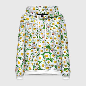 Мужская толстовка 3D с принтом Ромашки в Ухте, 100% полиэстер | двухслойный капюшон со шнурком для регулировки, мягкие манжеты на рукавах и по низу толстовки, спереди карман-кенгуру с мягким внутренним слоем. | Тематика изображения на принте: chamomile | daisies | flowers | nature | природа | растения | ромашки | текстура | цветы